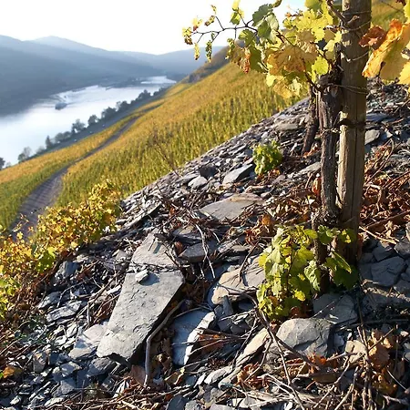 Wein- Und S A Prüm Bernkastel-Kues