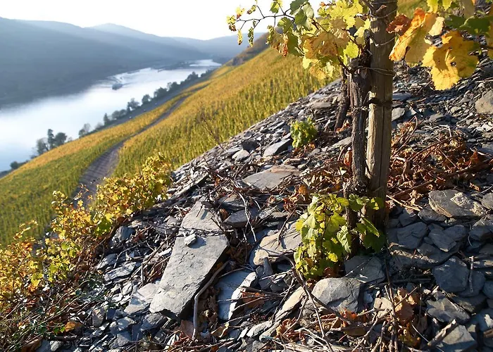 Wein- Und S A Pruem ברנקסטל - קיס