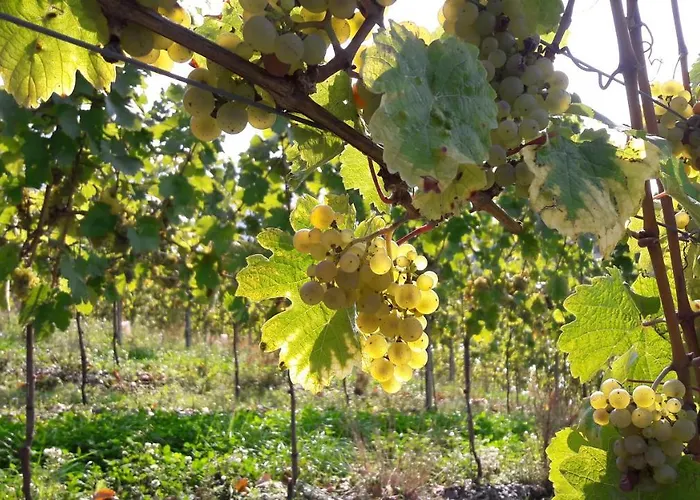 Hotel Wein- Und S A Pruem Bernkastel-Kues
