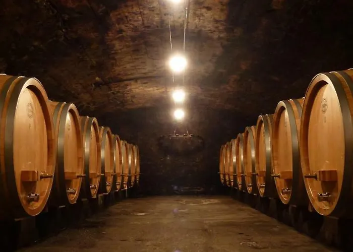 מלון Wein- Und S A Pruem 5*